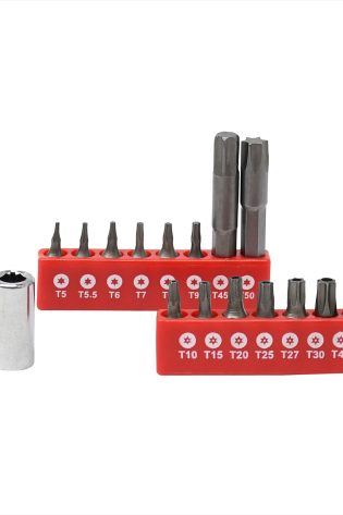 16Pc Torx Bit Set with Drive